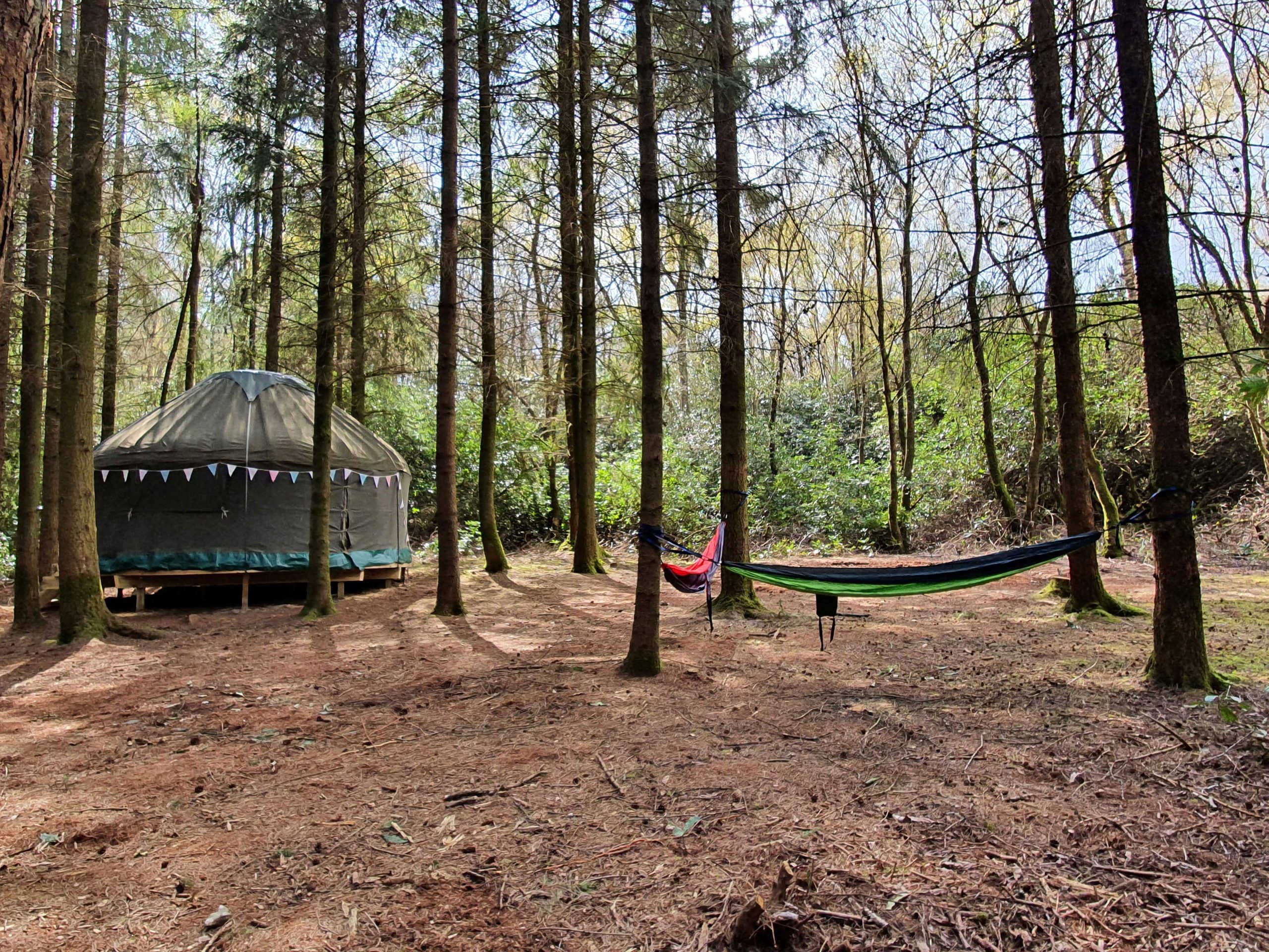 Yurt Glamping